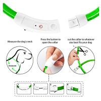 Collar con luz Led para perro, Correa luminosa de carga USB, desmontable, brillante, para gato grande, Labrador pequeño, productos para mascotas - details 2
