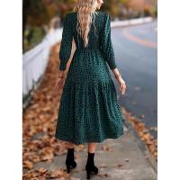 Primavera otoño nuevos vestidos de cuello redondo para mujer vestido de manga larga estampado A-line liquidación - details 10