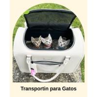 transportin para gatos