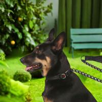Correa ajustable duradera para perros, correa cómoda y transpirable para mascotas, cuerda de tracción reflectante impermeable para entrenamiento de gatos - details 5