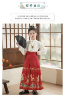Falda con cara de caballo para niña, conjunto modificado Hanfu, disfraz antiguo Ming Tang de estilo chino para niña, verano para niños - details 9
