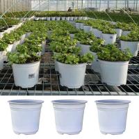 Semillas de plantación de plástico, cultivo de plantas pequeñas y jugosas, ETA gruesa para viveros, accesorios de jardín - details 0