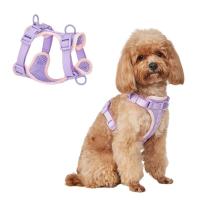 Nuevo arnés de malla estable para perros, chaleco, comodidad, prevención de escape antitirones, fácil de controlar, suministros para productos para mascotas - details 10