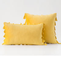 Bonenjoy 1 funda de cojín con borlas, funda de almohada de terciopelo, fundas de almohada de color sólido para decoración de sofá/cama/coche, 30x50/45x45/50x50 - details 11