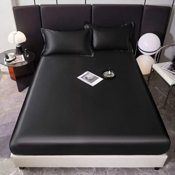 Juego de Ropa de Cama Moderno de hielo de Seda 3 Piezas Ajustables para Todas las Estaciones - 1