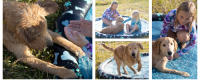 SplashEZ Kids Sprinkler Pool