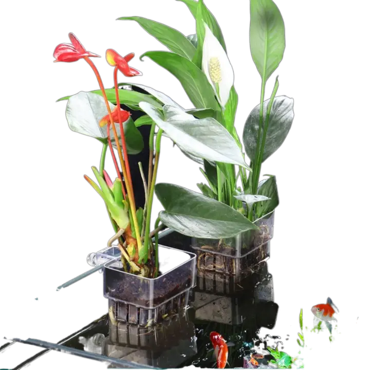 Cesta colgante para plantar acuario, taza de plástico para agua y hierba, soporte transparente para plantas acuáticas para pecera - 1