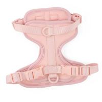 Arnés para perros de PVC doble cómodo rosa claro, correa para el pecho estable, juego de tres piezas, collares, arneses y correas - details 2