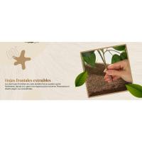 Árbol compacto y estable para gatos grandes, 4 niveles para escalar, rascar, descansar, hojas seguras, fácil montaje, duradero y apto para mascotas - details 4
