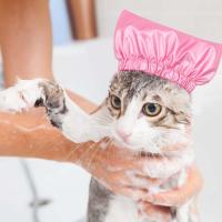 Gorro de Baño para Mascotas Ajustable Diseño Antimoho, Tocado Elástico para Amantes de Mascotas - details 4