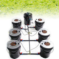 Kit de sistema de cultivo hidropónico para interiores, Kit de cultivo para 7 macetas, sistema de propagación hidropónica para interiores, Kit hidropónico para el hogar (20 L) - details 0