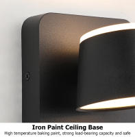 LEFANGXING Lámpara de Pared LED 12CM, Rotativa, Luz Luminosa para Dormitorio y Sala de Estar - details 12