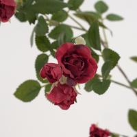 Rama de flor de Rosa Artificial de 65cm, flor de Rosa de imitación de plástico de tacto Real, flores falsas elegantes hechas a mano, decoración para el hogar y la Oficina - details 7