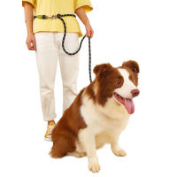 Perros con cuerda de tracción de seguridad, accesorio ble, suave, sin enganches, adecuado para cachorros, ts y gatitos - details 5