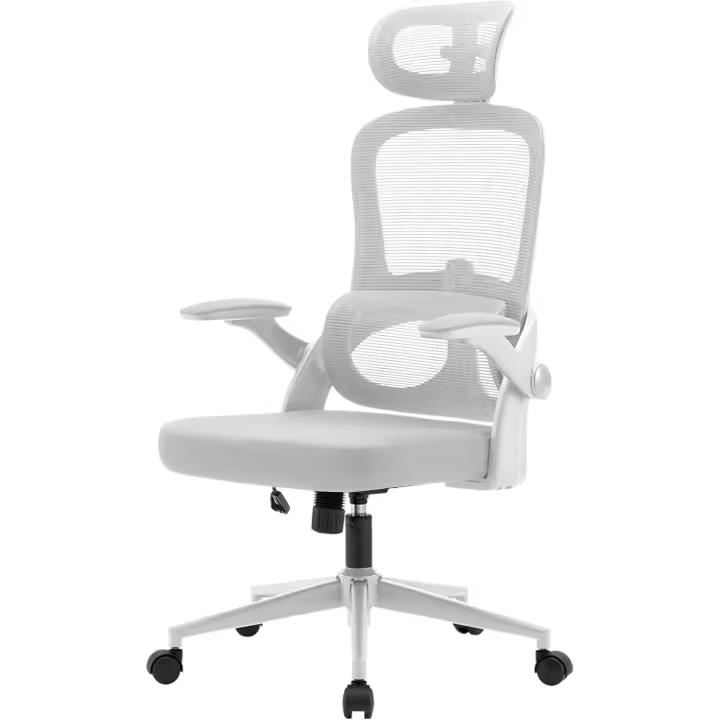 Silla de Oficina ergonómica de Malla, Silla de Oficina con Respaldo Alto con reposabrazos 3D, Soporte Lumbar hacia Arriba y hacia Abajo, Silla de Trabajo - Marco Blanco Malla Gris Claro - 1