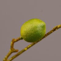 Rama de limón Artificial de lujo, árbol frutal de simulación de plástico elegante, fruta de limón Artificial hecha a mano para interiores y exteriores - details 3