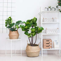Cesta de Maceta de Ratán Portátil Cesta de Lavandería Sucia Cesta de Jardín para Decoración del Hogar Artículos Peligrosos Normales - details 5