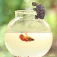 Bonitos adornos colgantes de tortuga en 3D, maceta de tortuga pequeña de dibujos animados hecha a mano, adornos decorativos de tortuga simulada para decoración del hogar - details 11