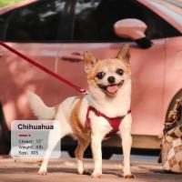 Correa de Tiro de Cuero PU para Perros Conjunto de Correa de Pecho para Gatos, Longitud de 5 Pies, Chaleco para Caminar - details 11