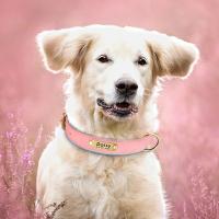Collar de Cuero Personalizado para Perros Suave y Almohadilla Placa de Identificación de Mascota - details 19