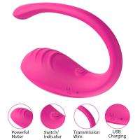 Vibrador Bluetooth para Mujer Estimulación Clitoris y Punto G Masajeador Anal Wearable - details 5