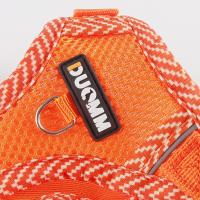 Conjunto de arnés ajustable para perro con cuerda de tracción, chaqueta a prueba de Escape, arnés, correa reflectante, collares para perros multicolor, conjunto de correa - details 16