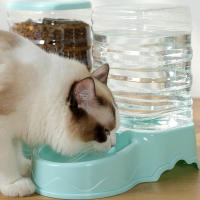 Bebedero automático para mascotas, alimentador de comida transparente, suministros para mascotas, gatos y perros, 3,5 l - details 5