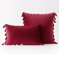 Bonenjoy 1 funda de cojín con borlas, funda de almohada de terciopelo, fundas de almohada de color sólido para decoración de sofá/cama/coche, 30x50/45x45/50x50 - details 10