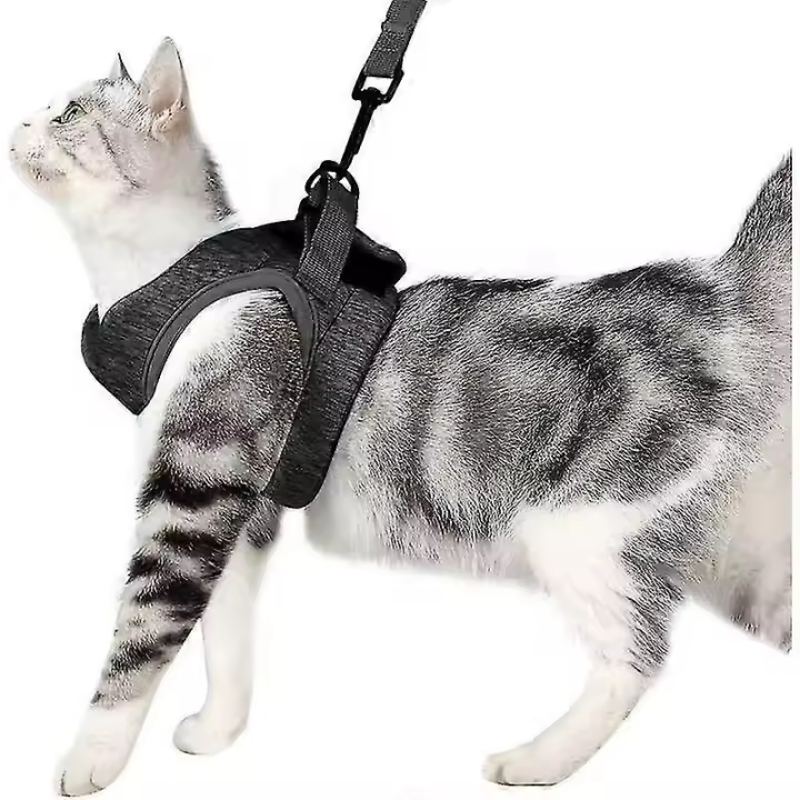Arnés y correa para gatos Collar para gatitos ultraligero Gato suave y cómodo - 1