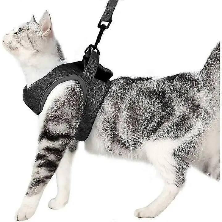 Arnés y correa para gatos Collar para gatitos ultraligero Gato suave y cómodo - 1