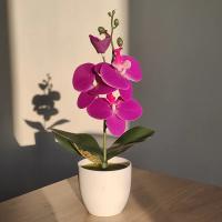 Árbol de Bonsái de Mariposa Símulada Planta Enmacelada Artificial para Hogar, Oficina, Mesas de Comedor Flores Artificiales y Plantas - details 5