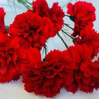 Claveles rojos artificiales de tacto Real, manualidades DIY, 54cm, flor de clavel de simulación, plantas falsas hechas a mano realistas, aniversario - details 5