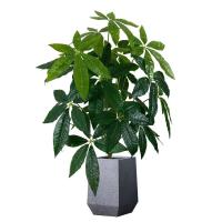 Palmas Artificiales de Plástico Árboles de Banyán Lucky para Familias, Jardines, Fiestas al Aire Libre - details 7