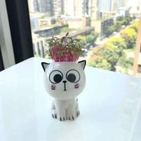 ETA de cerámica con mini gato, hermosas plantas de dibujos animados, ETA de escritorio, juguetes decorativos de bricolaje, educación científica, regalo escolar, 1 pieza. - details 7