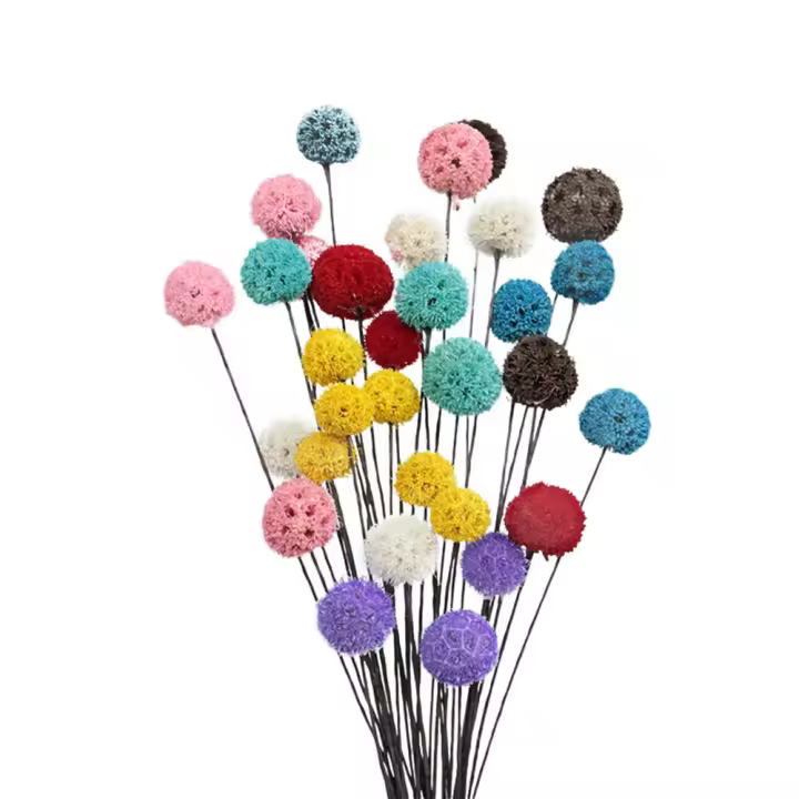 Flores secas coloridas para decoración del hogar, accesorios de tiro, tallos de plantas de Material Natural, ramos de flores reales, 5 piezas - 1