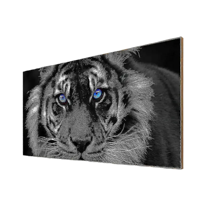 Ojos azules tigre cuadro sobre lienzo para pared tigres blancos y negros Canva - 1