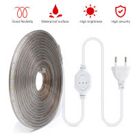 GAHADA Luz de Tira LED Flexible Impermeable 60leds/m Tinta de Alimentación - details 0