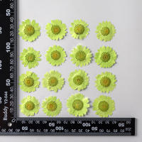 Juego de 12 Uds. De flores secas naturales de 2,5-4cm para rellenos de funda de teléfono DIY, flor de crisantemo de cristal prensado, decoraciones artísticas para uñas - details 20