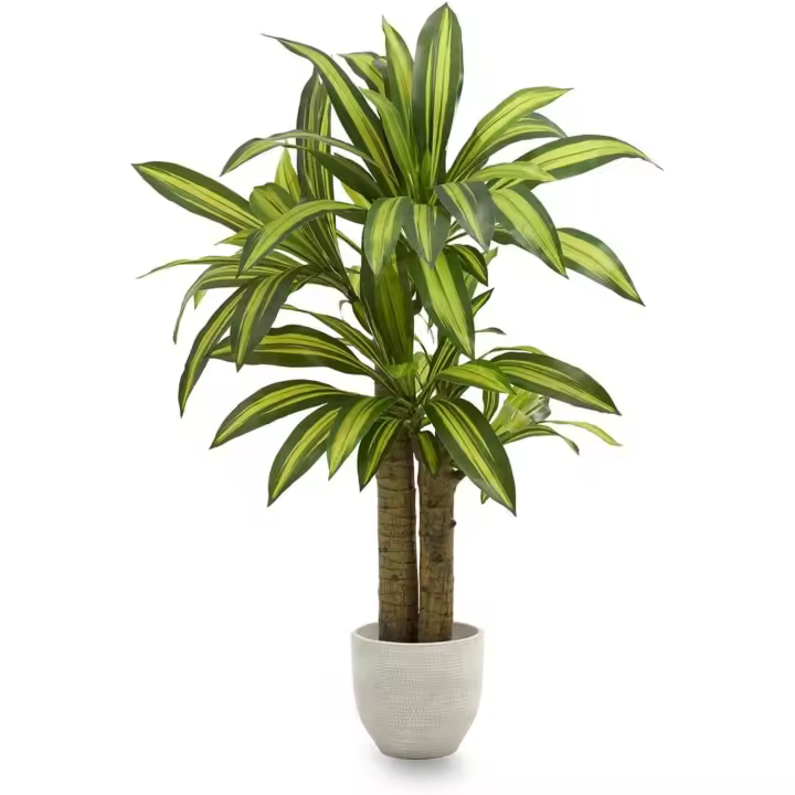 Drácula Artificial 120 cm |   Planta Artificial Decorativa Hiperrealista |   Árbol Tropical para Decoración de Hogar y Oficina |   Planta Artificial con Maceta para Interior y Exterior Cubierto - 1