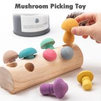 Bloques de arcoíris de madera, juego de colección de juegos, Montessori, juguetes educativos para bebés, forma de desarrollo - details 2