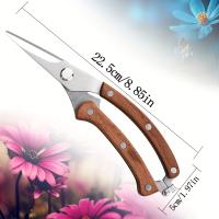 1 tijeras para recoger frutas con mango de madera de estilo clásico, hoja de acero inoxidable, tijeras de podar de jardín con agarre cómodo para injerto de jardinería de huerto - details 1