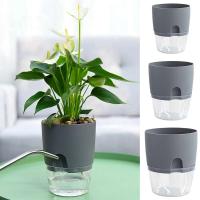 Plástico usado autoirrigación de plantas hidropónicas, ETEros en jugoso ETA, decoración de escritorio transparente para hogares y oficinas - details 0