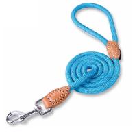 Productos mascotas, perro, reflectante nailon cachorro, cuerda gato, Chihuahua, conjunto correa Collar mascota, correas para - details 16