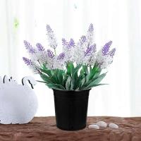 10 piezas de fregadero de plástico floral, plantas de interior, jardín ETA, interior, simple, ligero - details 5