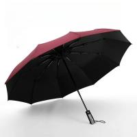 Fuerte a prueba de viento y lluvia, nuevo paraguas plegable automático de negocios, paraguas grande de vinilo para el hogar, paraguas de diez huesos - details 8