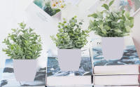 4 Piezas Plantas Artificiales Mini Ecologización Artificiales Macetas Plantas Plásticos Plantas Falsa para Casa Baño Oficina Mesa Decoración. - details 1