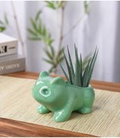Mini planta verde jugosa y creativa de cerámica ETRO, ETA perforada, decoración para el jardín del hogar al aire libre - details 4