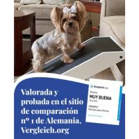 Dog Version