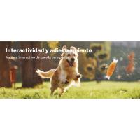 Juguetes para Perros