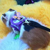 Corset de Denim Transpirable para Mascotas Pequeñas Correa de Tracción al Aire Libre para Chinchilla, Conejo Holgado, Pequeño Pato Collares de Mascotas - details 6
